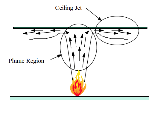 fire plume dynamics