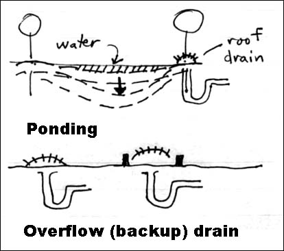 ponding and back-up drains