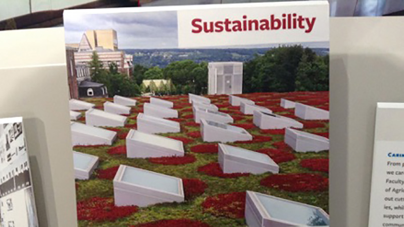 Milstein Hall green roof at Cornell's Tang Welcome Center