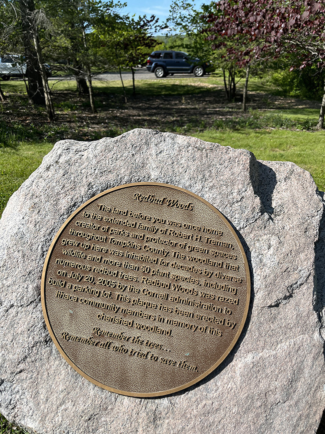 View of Redbud Woods plaque with parking lot in the background.