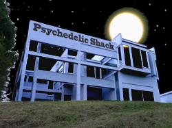 image from and link to Psychedelic Shack