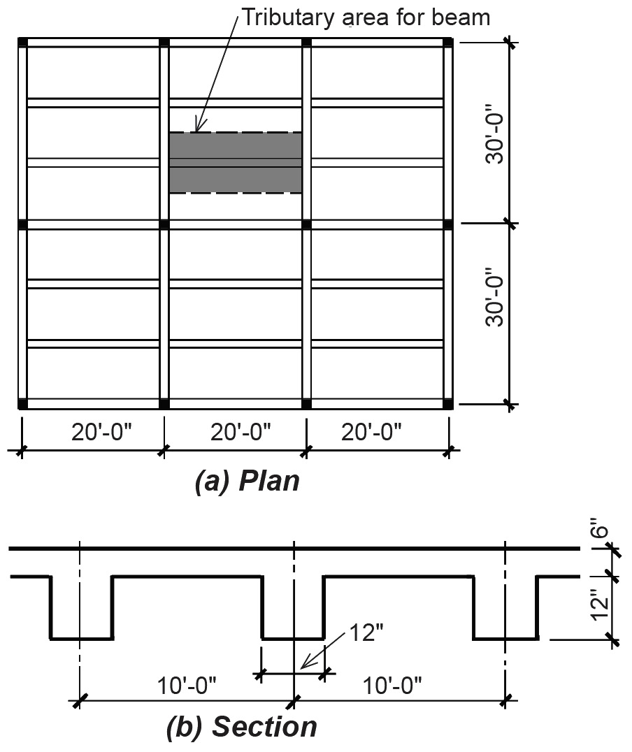 framing plan and section