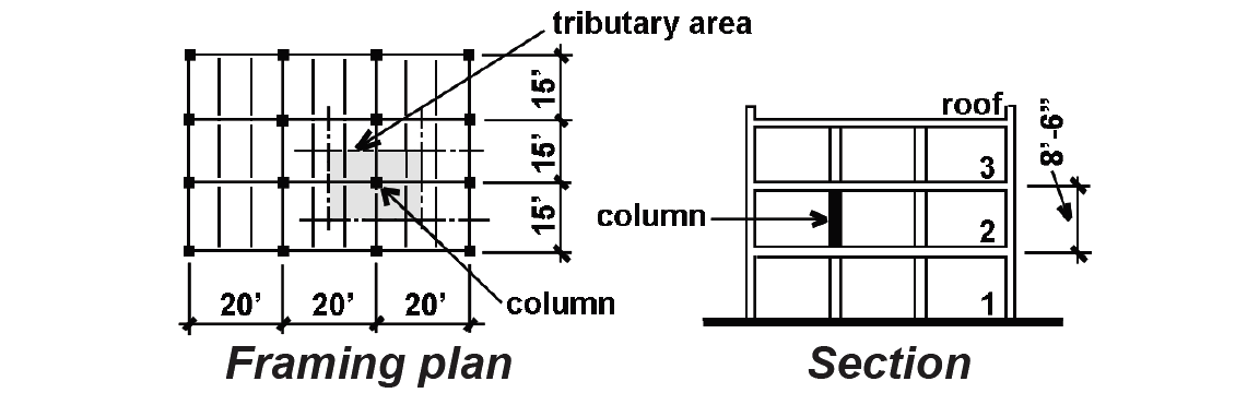 framing plan and building section